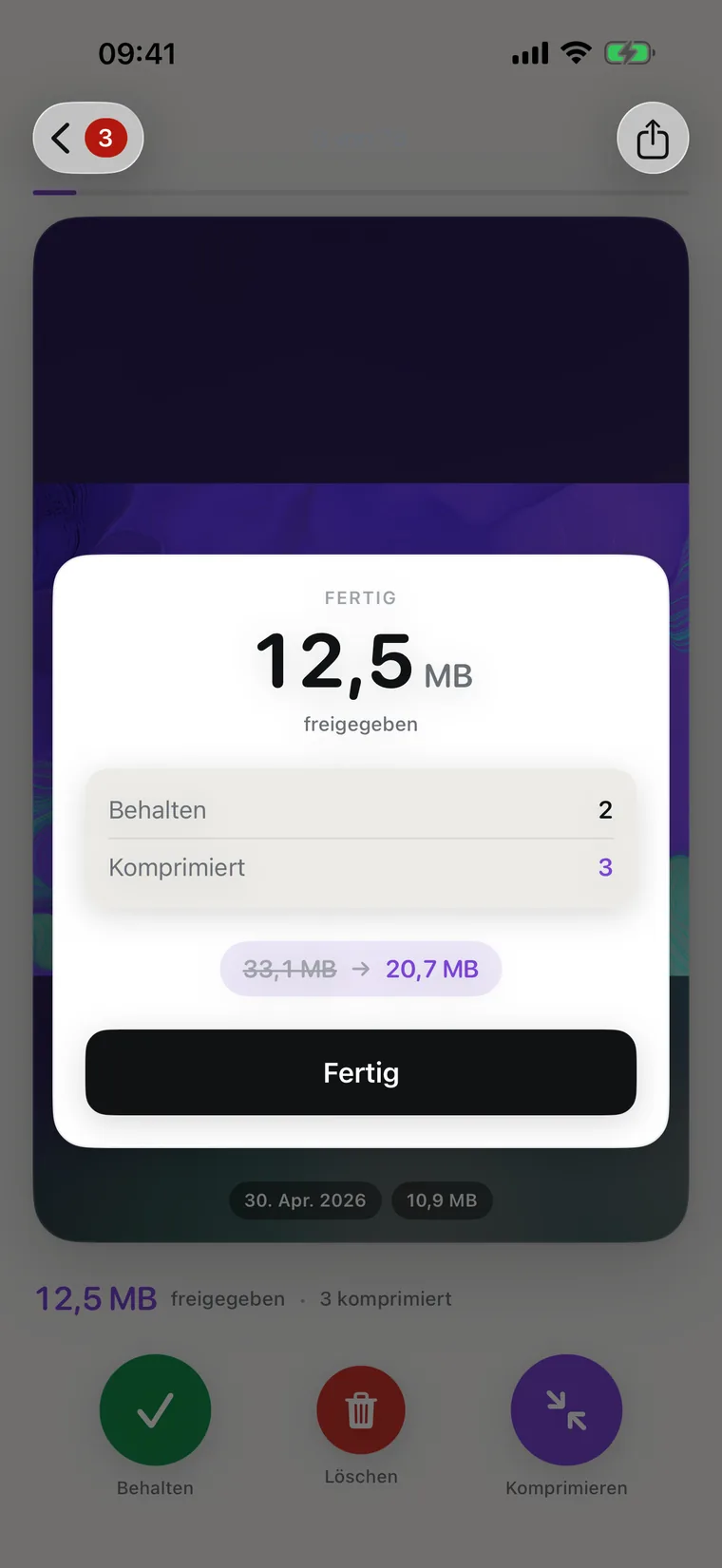 Die Bilanz am Ende eines Durchgangs mit dem freigegebenen Speicher